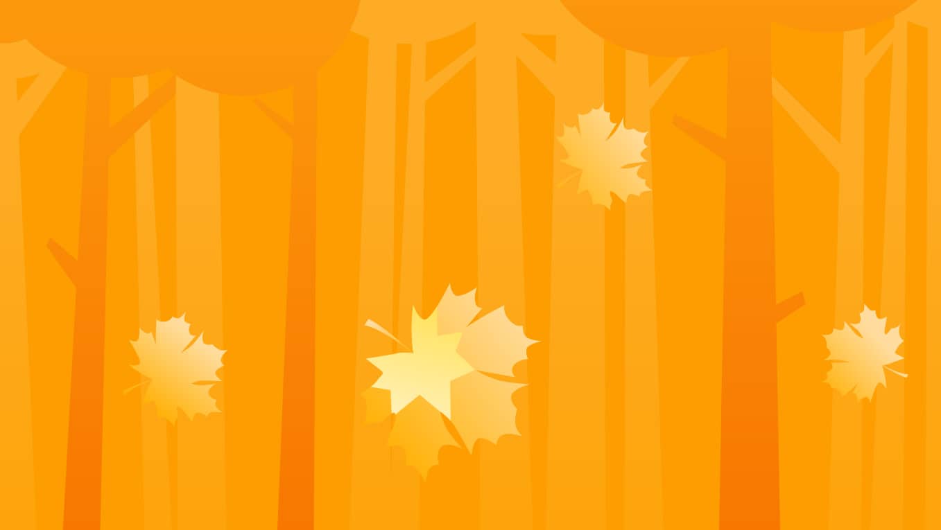 Toni Morrison Quotes on Life, Love, Freedom, and Oppression