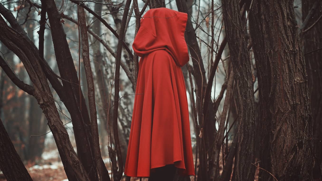 A red-hooded person stands amid a row of autumn trees